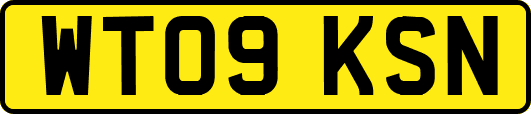 WT09KSN