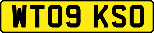 WT09KSO