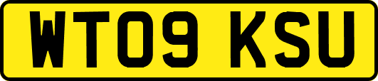 WT09KSU