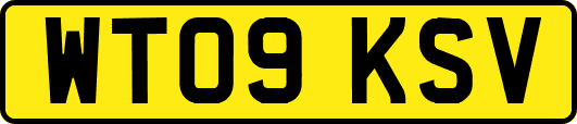 WT09KSV