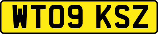 WT09KSZ