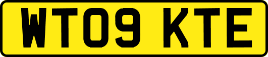 WT09KTE