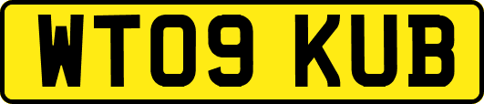 WT09KUB
