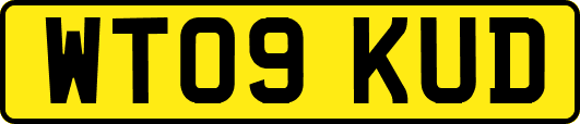 WT09KUD