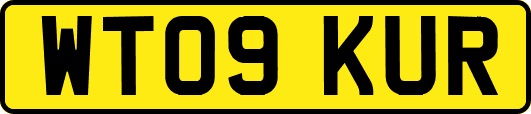 WT09KUR
