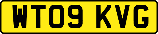 WT09KVG