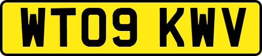 WT09KWV