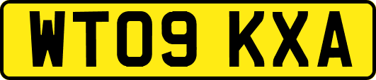 WT09KXA