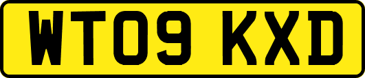 WT09KXD