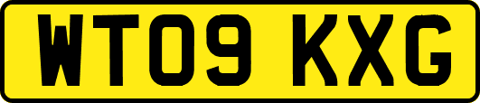 WT09KXG