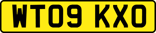 WT09KXO