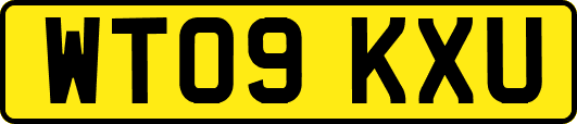 WT09KXU