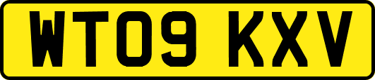WT09KXV