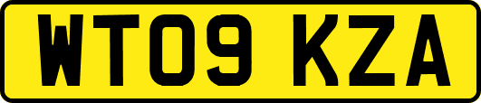 WT09KZA