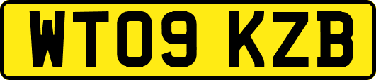 WT09KZB