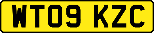 WT09KZC