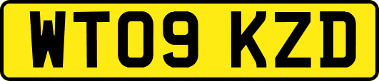 WT09KZD