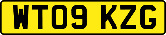 WT09KZG