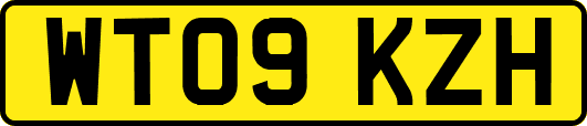 WT09KZH