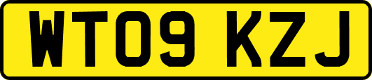 WT09KZJ