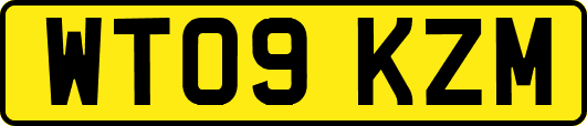 WT09KZM