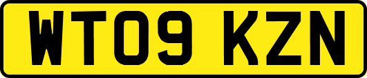 WT09KZN