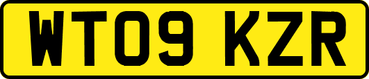 WT09KZR