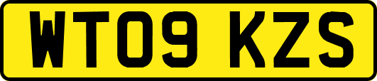WT09KZS
