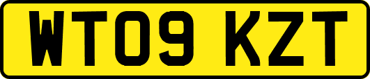 WT09KZT
