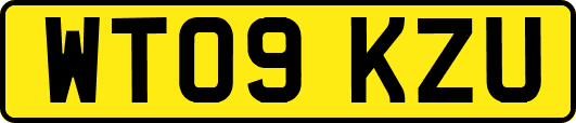 WT09KZU