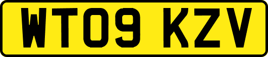 WT09KZV