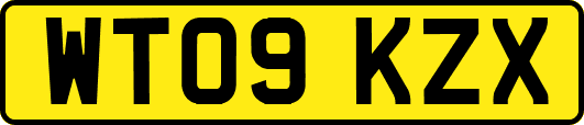 WT09KZX