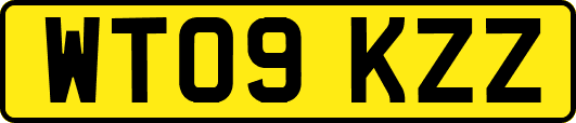 WT09KZZ