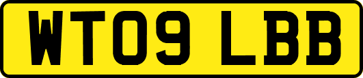 WT09LBB