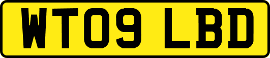 WT09LBD