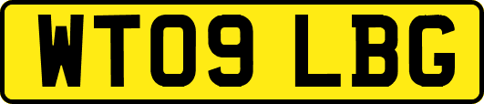 WT09LBG