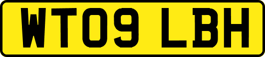 WT09LBH