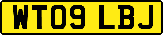 WT09LBJ