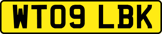 WT09LBK
