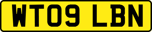 WT09LBN