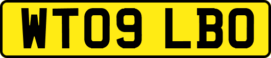 WT09LBO