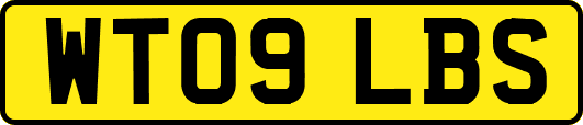 WT09LBS