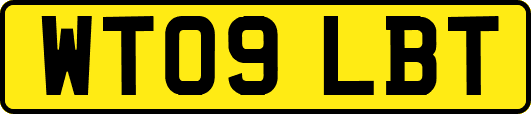 WT09LBT