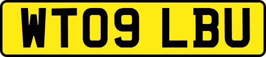 WT09LBU