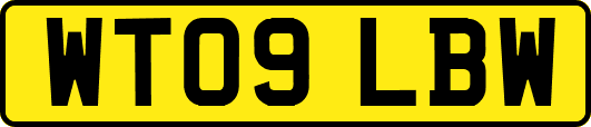 WT09LBW