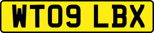 WT09LBX