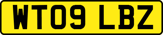 WT09LBZ