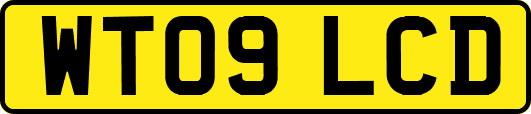 WT09LCD