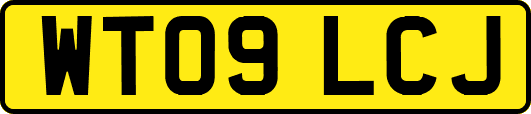 WT09LCJ