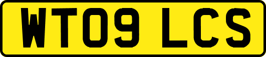WT09LCS